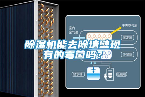 除濕機能去除墻壁現有的霉菌嗎？