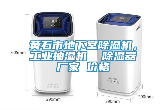 黃石市地下室除濕機,工業抽濕機 除濕器廠家 價格