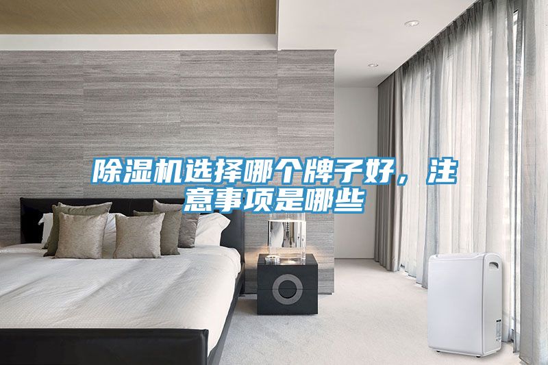 除濕機選擇哪個牌子好,注意事項是哪些