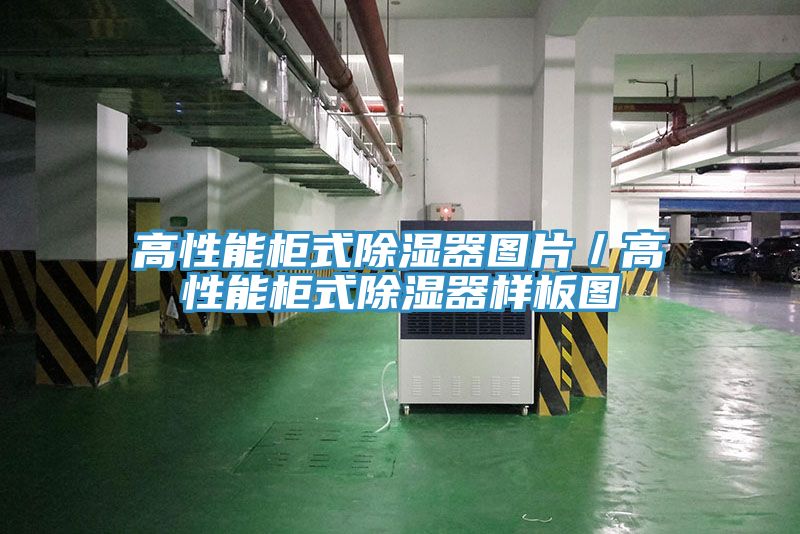 高性能柜式除濕器圖片/高性能柜式除濕器樣板圖
