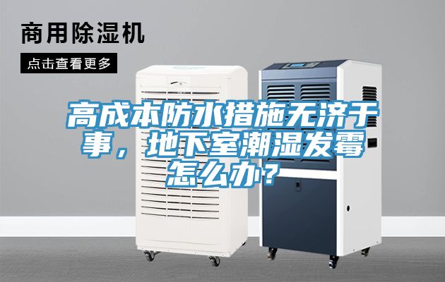 高成本防水措施無(wú)濟(jì)于事,地下室潮濕發(fā)霉怎么辦?