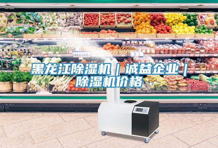 黑龍江除濕機|誠益企業|除濕機價格