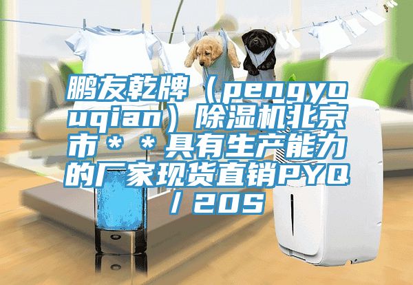 鵬友乾牌(pengyouqian)除濕機(jī)北京市**具有生產(chǎn)能力的廠家現(xiàn)貨直銷(xiāo)PYQ/20S