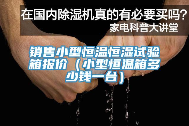 銷售小型恒溫恒濕試驗箱報價(小型恒溫箱多少錢一臺)