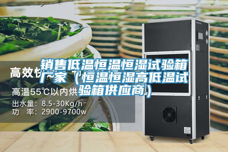 銷售低溫恒溫恒濕試驗箱廠家(恒溫恒濕高低溫試驗箱供應商)