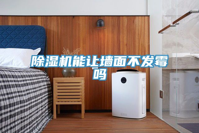 除濕機能讓墻面不發霉嗎
