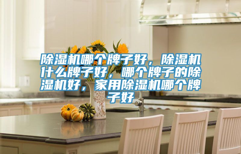 除濕機(jī)哪個(gè)牌子好，除濕機(jī)什么牌子好，哪個(gè)牌子的除濕機(jī)好，家用除濕機(jī)哪個(gè)牌子好