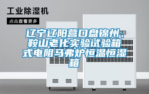 遼寧遼陽營口盤錦州、鞍山老化實驗試驗箱式電阻馬弗爐恒溫恒濕箱