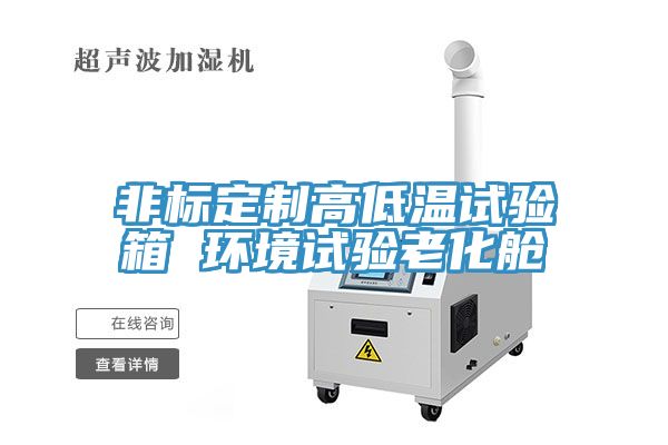 非標定制高低溫試驗箱 環境試驗老化艙