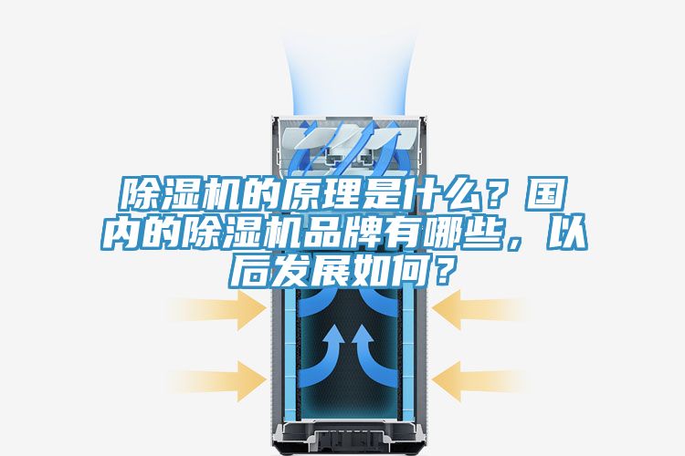 除濕機的原理是什么？國內的除濕機品牌有哪些，以后發展如何？