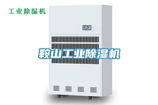 鞍山工業除濕機