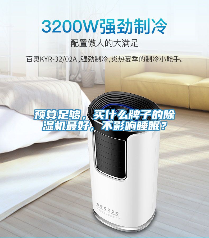 預算足夠，買什么牌子的除濕機最好，不影響睡眠？