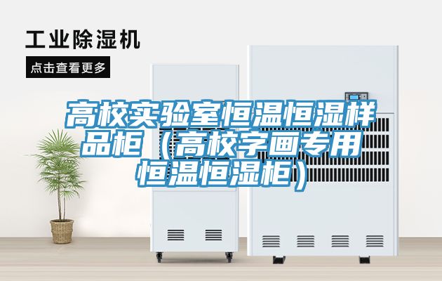 高校實驗室恒溫恒濕樣品柜(高校字畫專用恒溫恒濕柜)