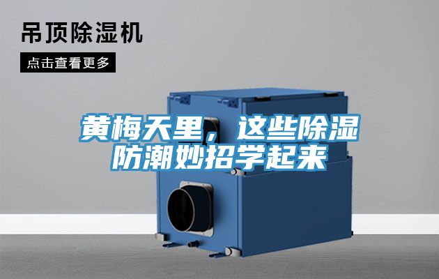 黃梅天里,這些除濕防潮妙招學起來