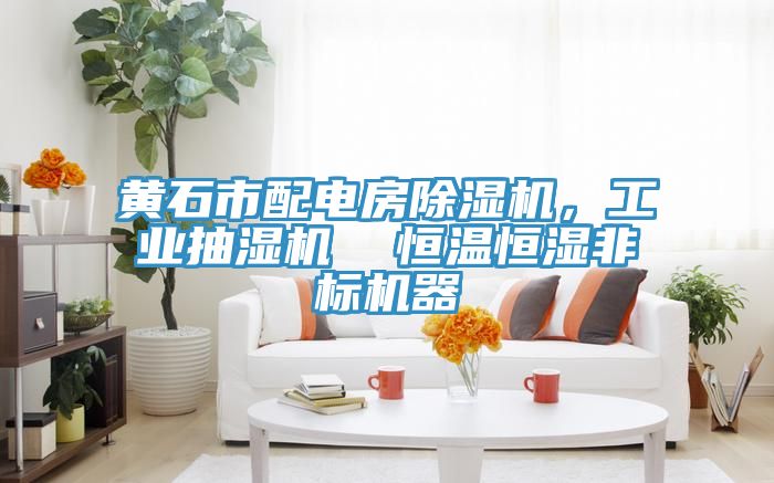 黃石市配電房除濕機,工業抽濕機 恒溫恒濕非標機器