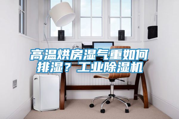 高溫烘房濕氣重如何排濕?工業除濕機